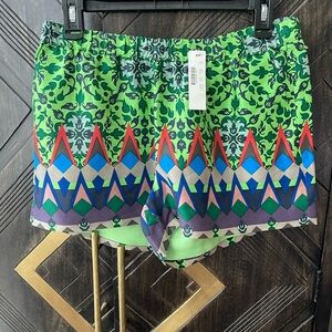 J. Crew Athletic Green and Blue Performance Shorts